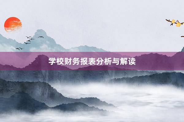 学校财务报表分析与解读